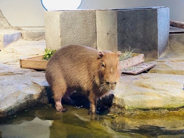 NIFREL（ニフレル）に投稿された画像（2024/6/6）