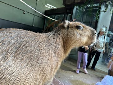 カワスイ 川崎⽔族館に投稿された画像（2024/6/6）