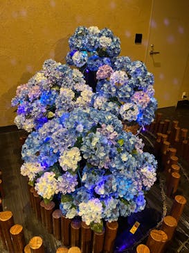 木の花の湯に投稿された画像（2024/6/6）