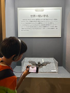 特別展「大哺乳類展３－わけてつなげて大行進」に投稿された画像（2024/6/6）