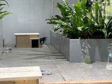 AOAO SAPPOROに投稿された画像（2024/6/6）