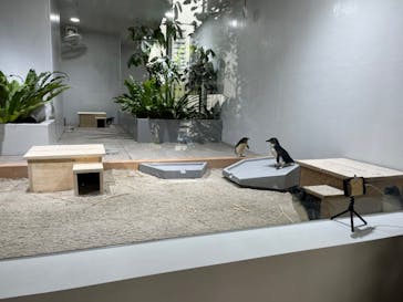 AOAO SAPPOROに投稿された画像（2024/6/6）