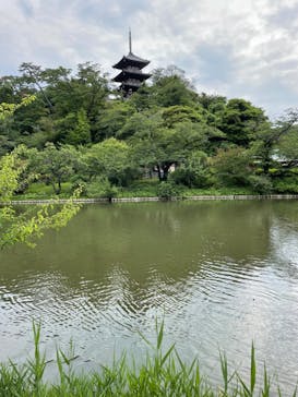 三溪園に投稿された画像（2024/6/6）