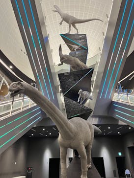 福井県立恐竜博物館に投稿された画像（2024/6/6）