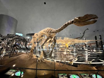 福井県立恐竜博物館に投稿された画像（2024/6/6）