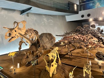 福井県立恐竜博物館に投稿された画像（2024/6/6）