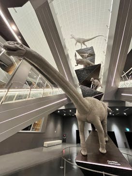 福井県立恐竜博物館に投稿された画像（2024/6/6）