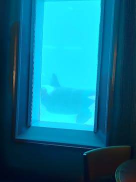 鴨川シーワールドに投稿された画像（2024/6/6）