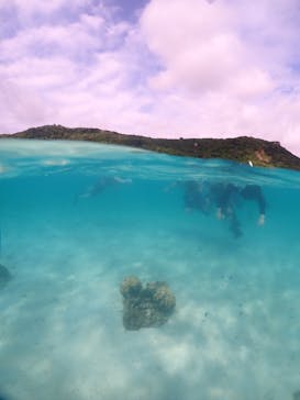 初心者専門宮古島シュノーケリングツアーに投稿された画像（2024/6/7）