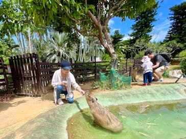 美らヤシパークオキナワ・東南植物楽園に投稿された画像（2024/6/7）