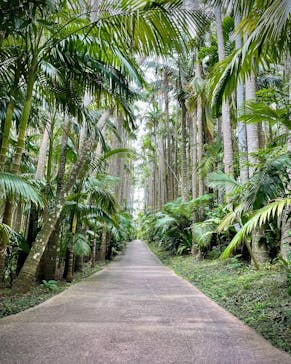 美らヤシパークオキナワ・東南植物楽園に投稿された画像（2024/6/7）
