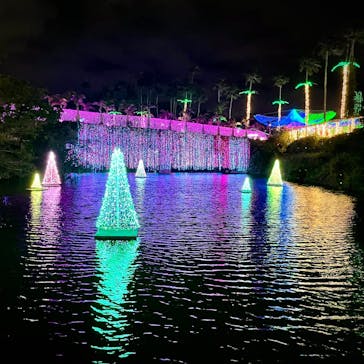 美らヤシパークオキナワ・東南植物楽園に投稿された画像（2024/6/7）