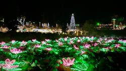 美らヤシパークオキナワ・東南植物楽園に投稿された画像（2024/6/7）