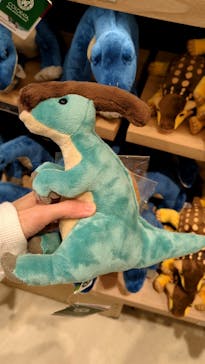 福井県立恐竜博物館に投稿された画像（2024/6/7）