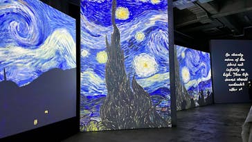 ゴッホ・アライブに投稿された画像（2024/6/7）