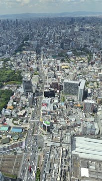 ハルカス300(展望台)に投稿された画像（2024/6/7）