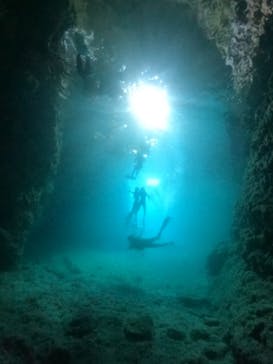 武藤潜水に投稿された画像（2024/6/7）