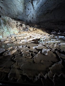 秋芳洞に投稿された画像（2024/6/7）