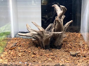 AOAO SAPPOROに投稿された画像（2024/6/7）