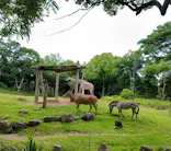 天王寺動物園に投稿された画像（2024/6/7）
