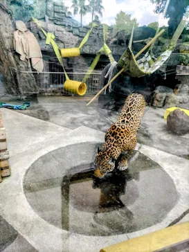 天王寺動物園に投稿された画像（2024/6/7）