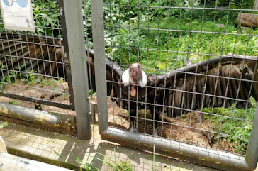 天王寺動物園に投稿された画像（2024/6/7）