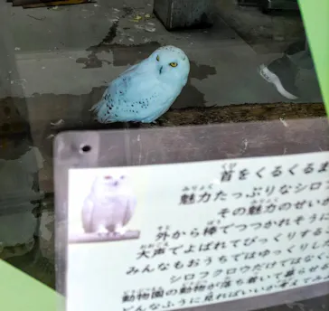 天王寺動物園に投稿された画像（2024/6/7）