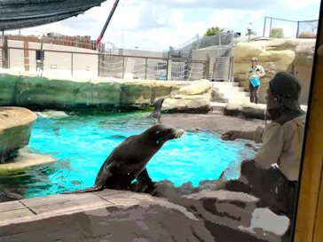 天王寺動物園に投稿された画像（2024/6/7）