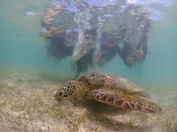初心者専門宮古島シュノーケリングツアーに投稿された画像（2024/6/7）