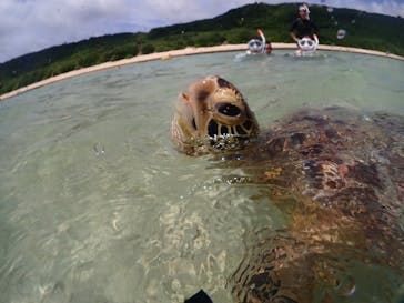初心者専門宮古島シュノーケリングツアーに投稿された画像（2024/6/7）
