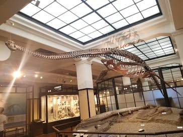 国立科学博物館に投稿された画像（2024/6/7）