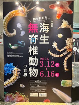 国立科学博物館に投稿された画像（2024/6/7）