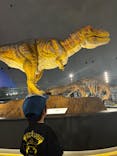 福井県立恐竜博物館に投稿された画像（2024/6/7）
