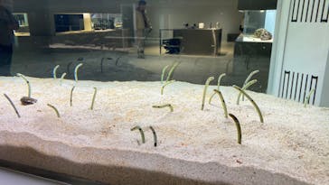 AOAO SAPPOROに投稿された画像（2024/6/7）