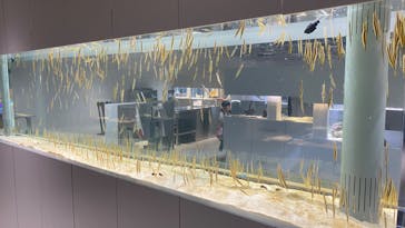 AOAO SAPPOROに投稿された画像（2024/6/7）