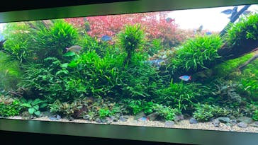 AOAO SAPPOROに投稿された画像（2024/6/7）