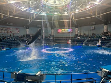 マクセル アクアパーク品川に投稿された画像（2024/6/7）