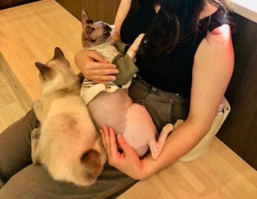 つくばわんわんランドに投稿された画像（2024/6/7）