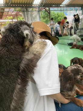 つくばわんわんランドに投稿された画像（2024/6/7）