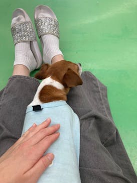 つくばわんわんランドに投稿された画像（2024/6/7）