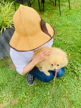 つくばわんわんランドに投稿された画像（2024/6/7）