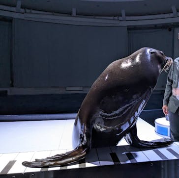 アクアワールド茨城県大洗水族館に投稿された画像（2024/6/7）