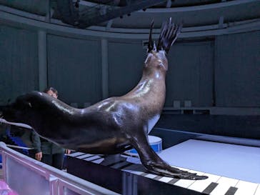 アクアワールド茨城県大洗水族館に投稿された画像（2024/6/7）