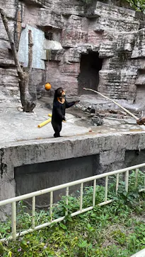 天王寺動物園に投稿された画像（2024/6/7）