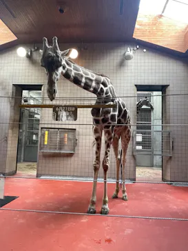 天王寺動物園に投稿された画像（2024/6/7）