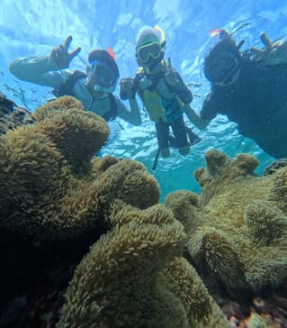 宮古島 ADVENTURE PiPi（ミヤコジマ アドベンチャー ピピ）に投稿された画像（2024/6/7）