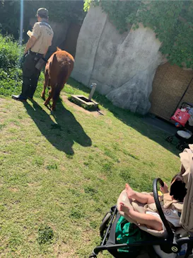 天王寺動物園に投稿された画像（2024/6/7）