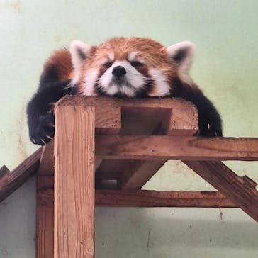 千葉市動物公園に投稿された画像（2024/6/7）