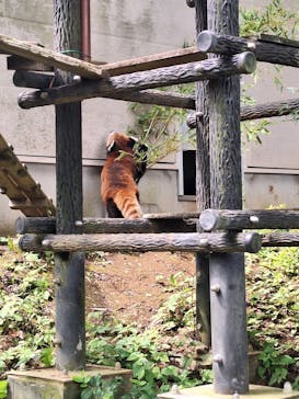 千葉市動物公園に投稿された画像（2024/6/7）