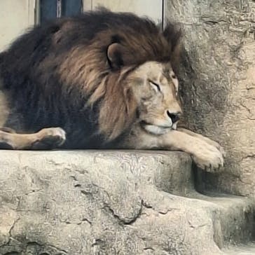 千葉市動物公園に投稿された画像（2024/6/7）